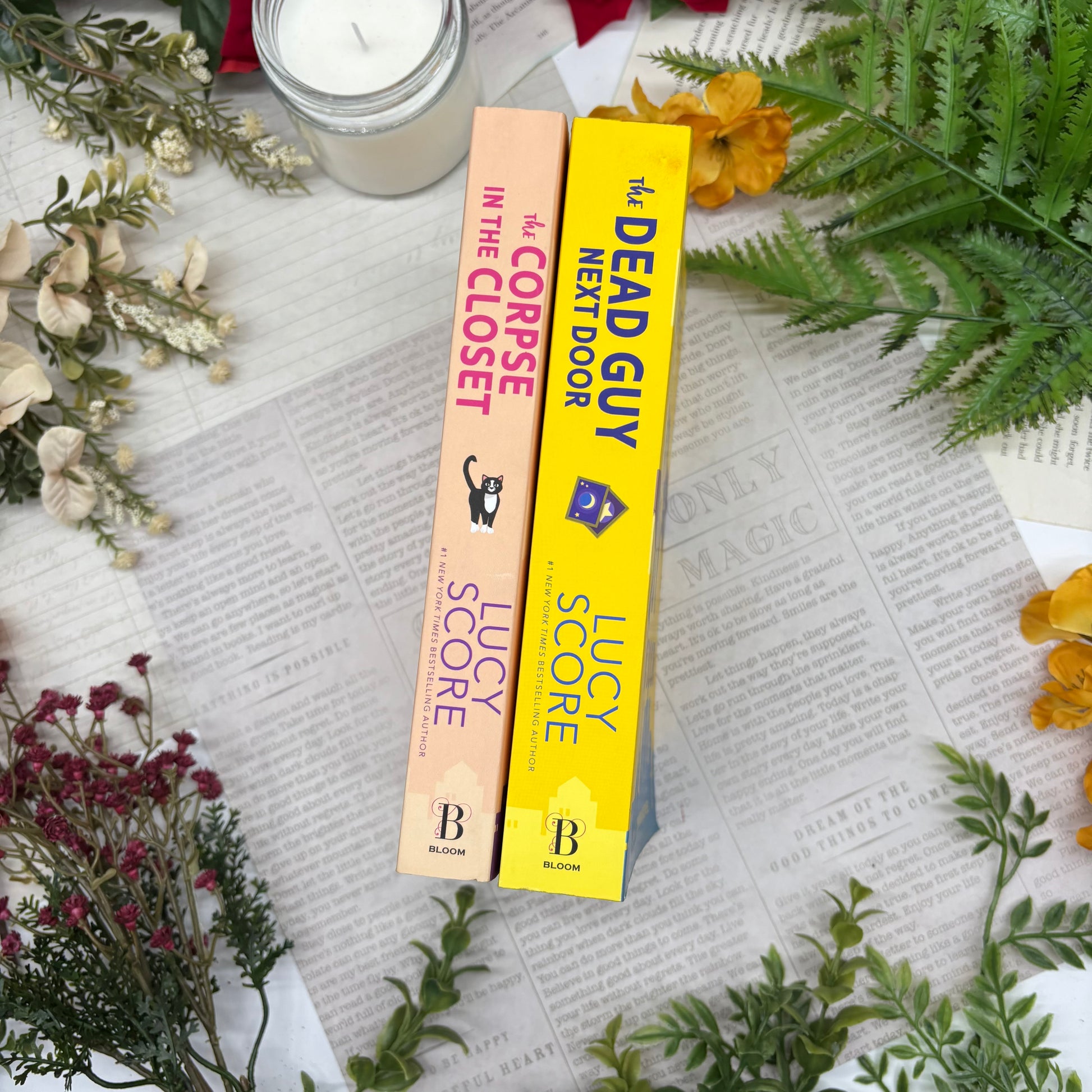 Riley Thorn book set by Lucy Score special edition paperback with custom edges spines
