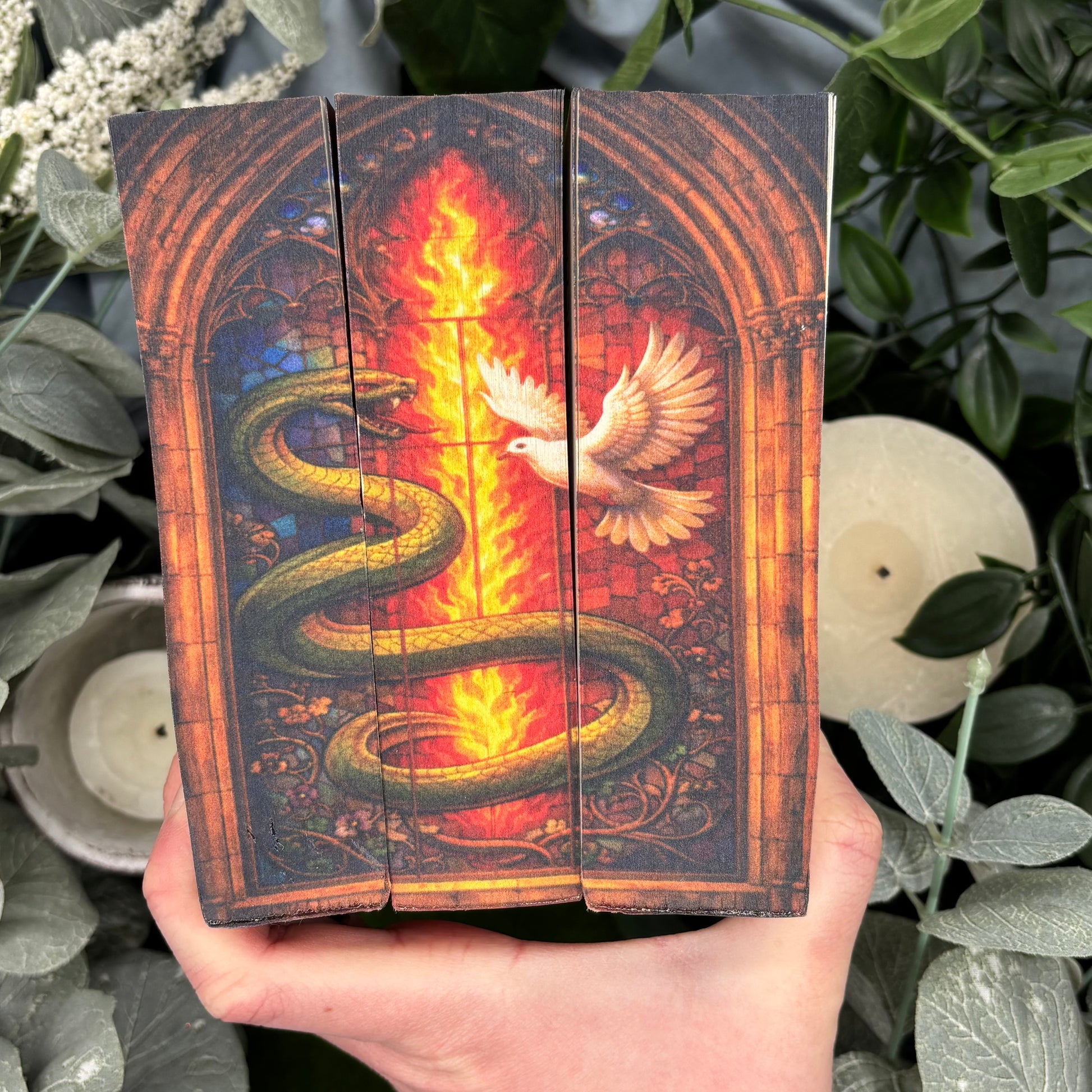 Serpent and Dove trilogy by Shelby Mahurin special edition hardcover set with custom edges bottom view