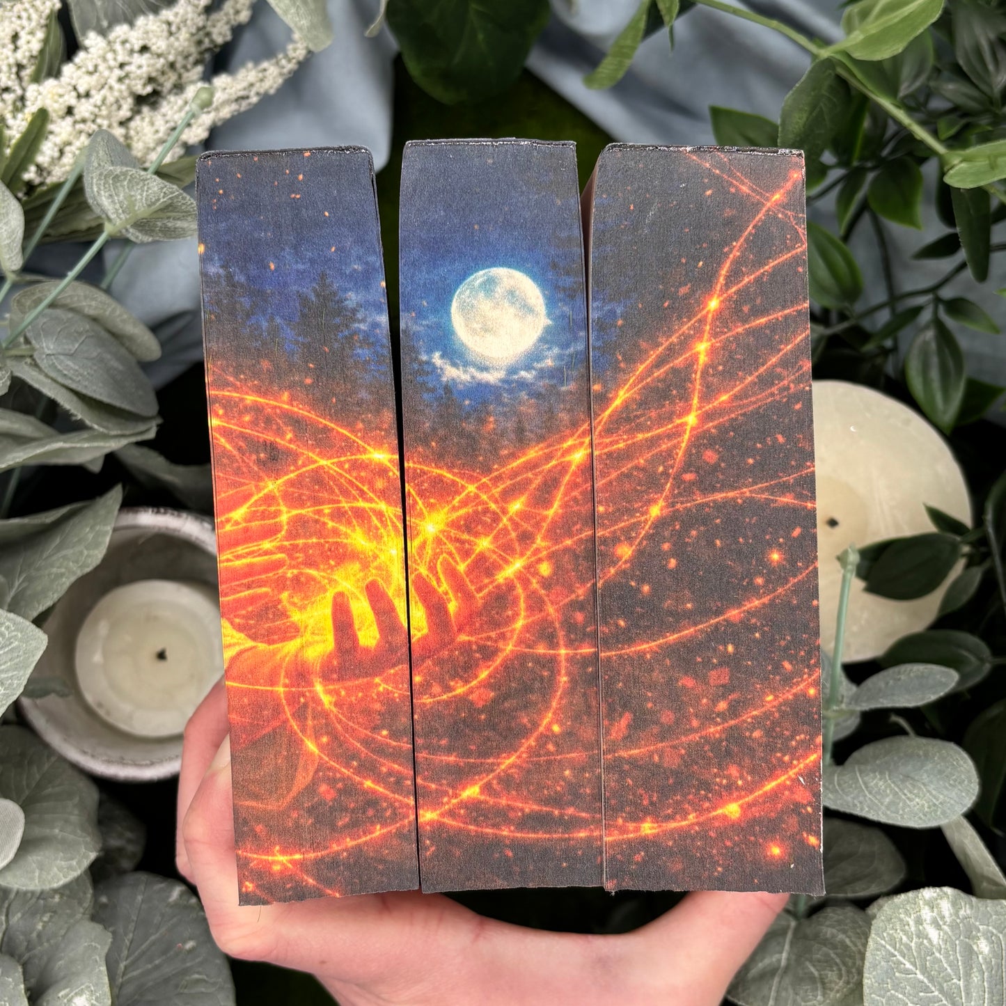 Serpent and Dove trilogy by Shelby Mahurin special edition hardcover set with custom edges top view