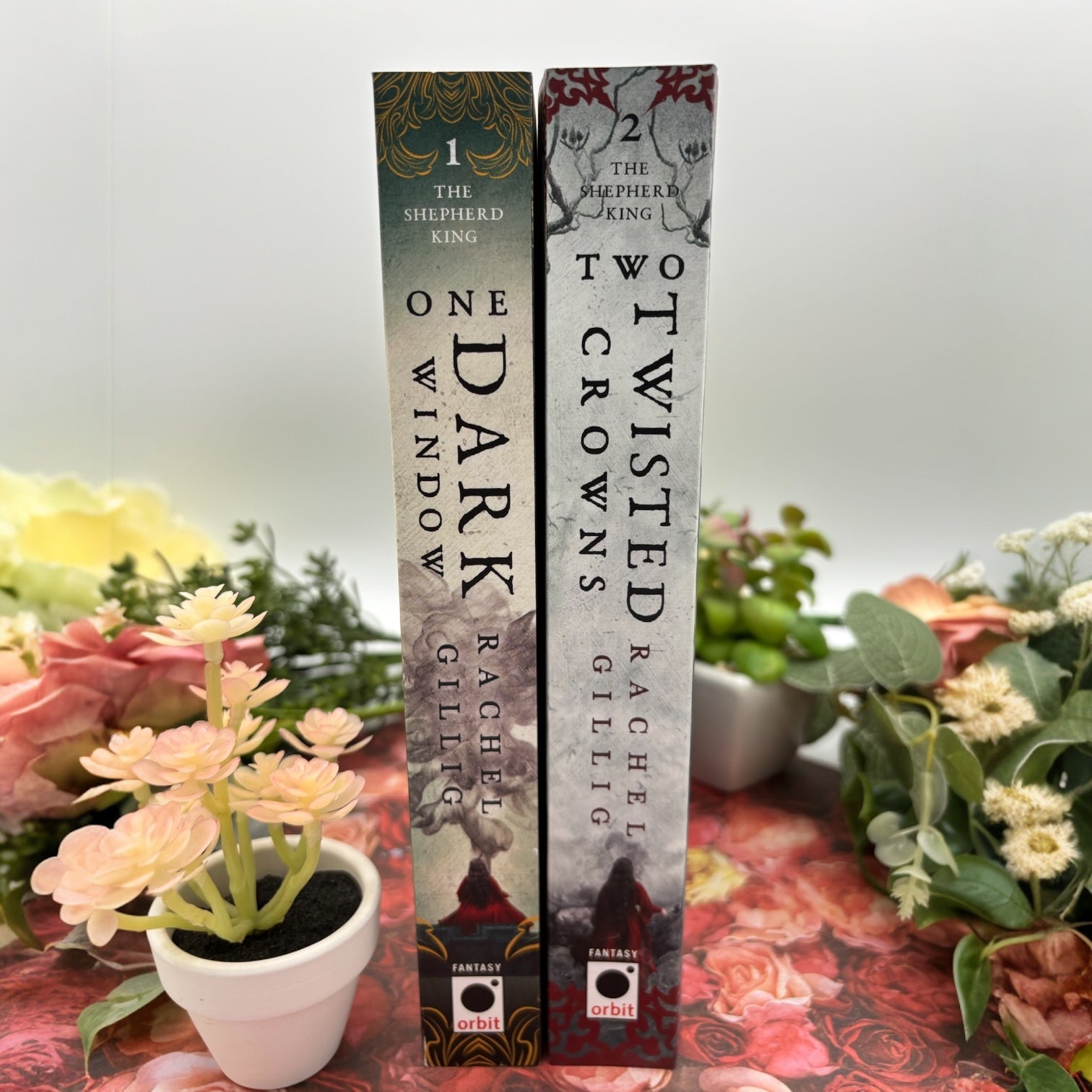 Special edition paperback set of One Dark Window and Two Twisted Crowns by Rachel Gillig spines