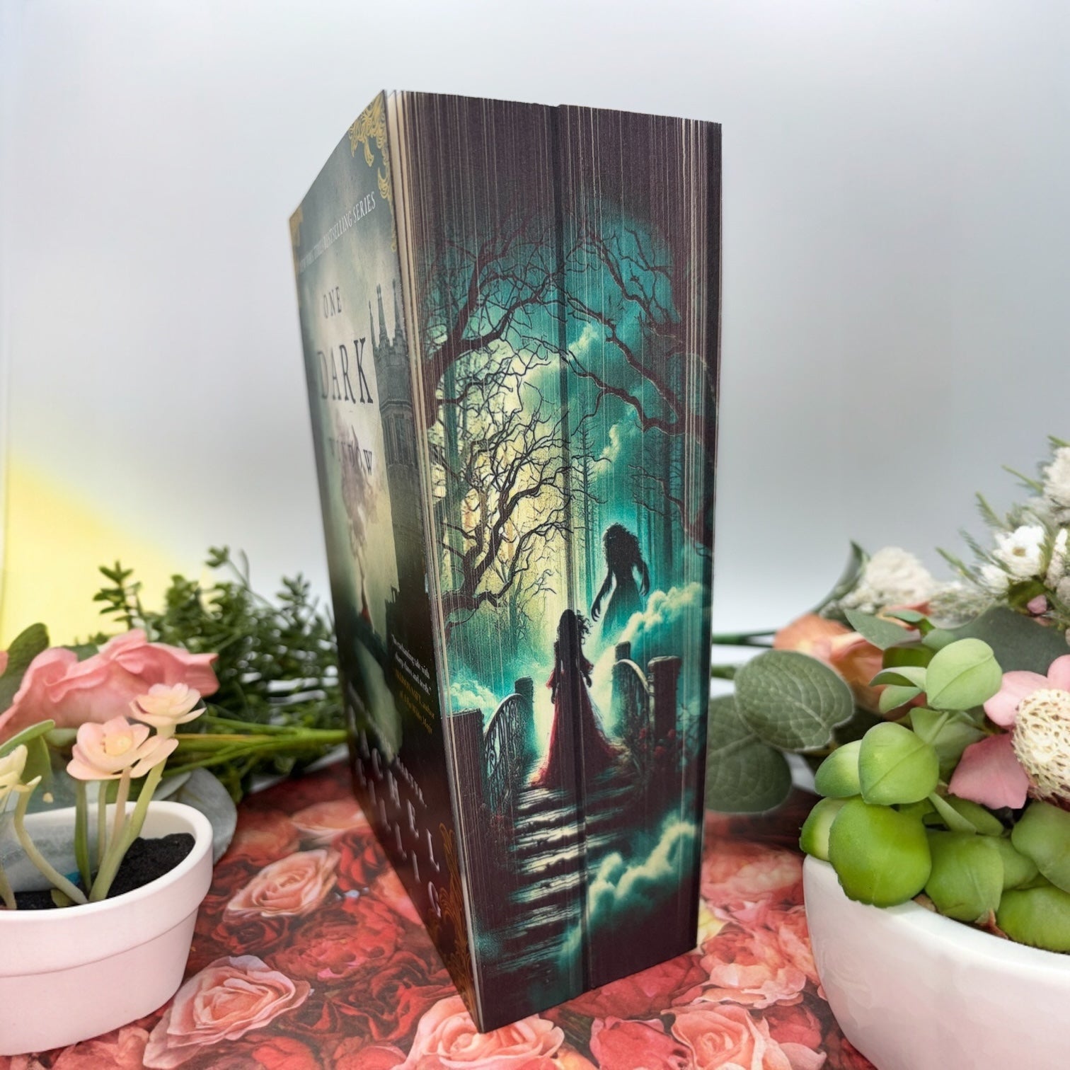 Special edition paperback set of One Dark Window and Two Twisted Crowns by Rachel Gillig
