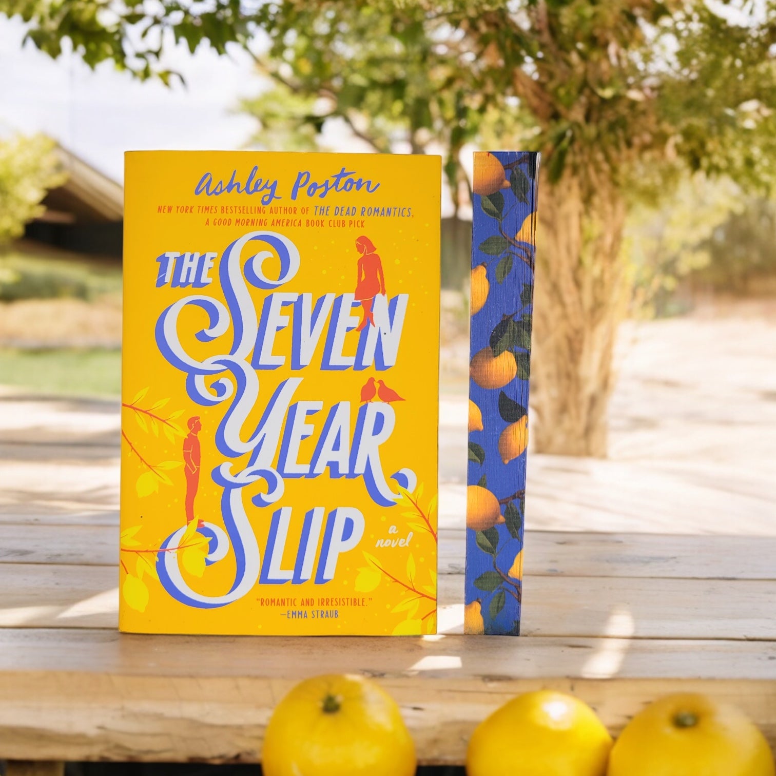 The Seven Year Slip by Ashley Poston special edition paperback book with custom edges