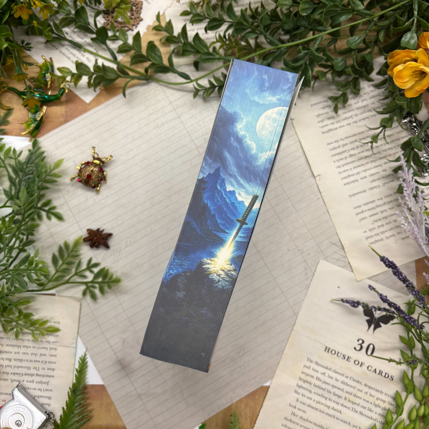 The Sword of Kaigen by M. L. Wang special edition paperback with custom designed edges middle view