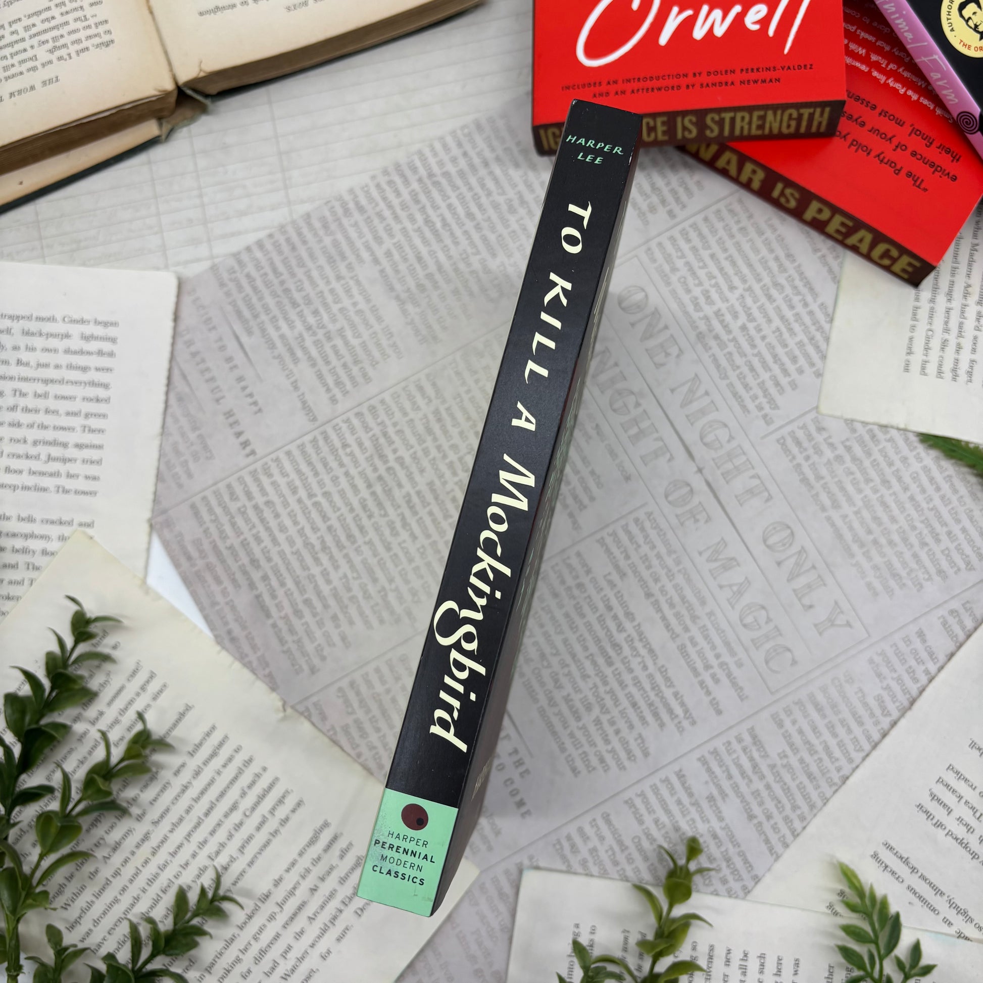 To Kill a Mockingbird by Harper Lee special edition paperback with custom designed edges spine