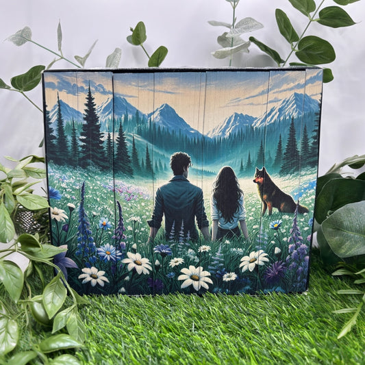 Special edition Twilight paperback set with custom printed edges