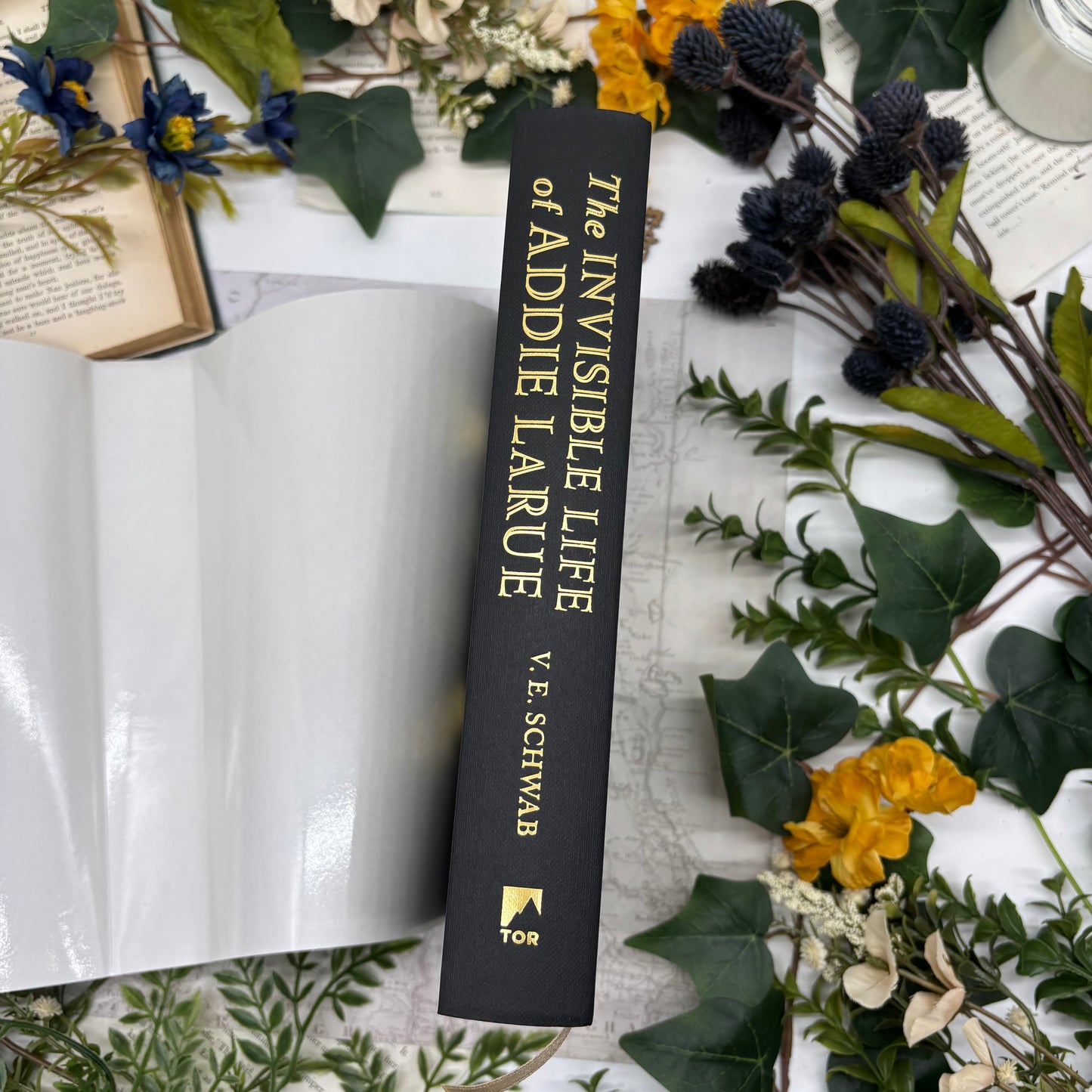 The Invisible Life of Addie LaRue special edition hardcover with custom printed book edges spine 