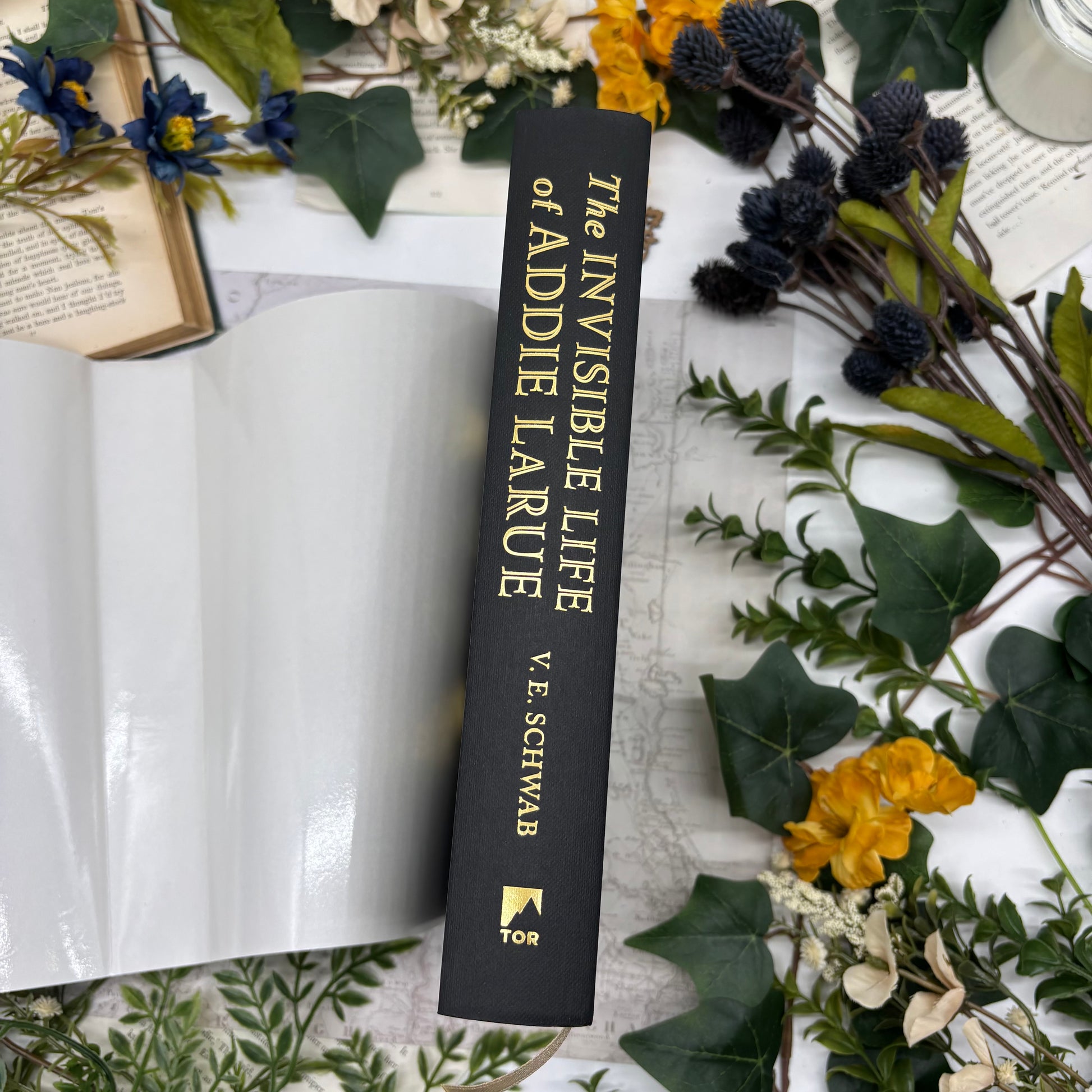 The Invisible Life of Addie LaRue special edition hardcover with custom printed book edges spine 